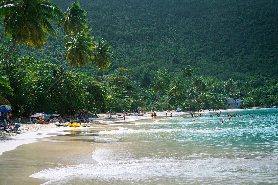 Beach Scene, Cane Garden Bay, Tortola, Caribbean