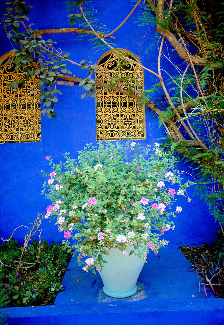 Majorelle Gardens, Marrakesh, Morocco