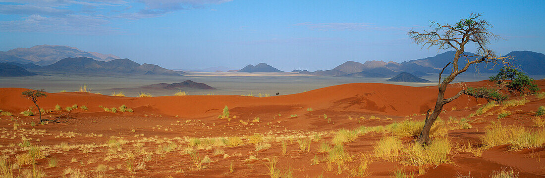 Landscape, General Desert, Namib Rand, Namibia