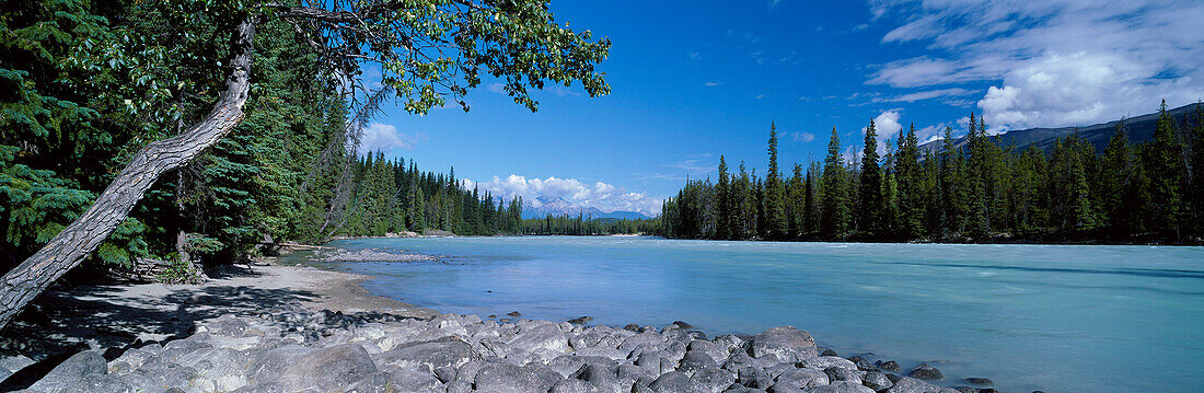 View of River, Athabasca River, Alberta and The Rockies, Canada