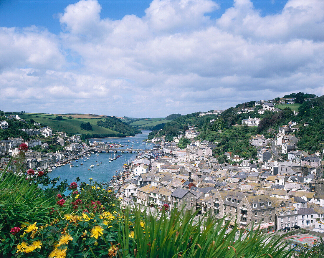 Town Overview (summer), Looe, Cornwall, UK, England