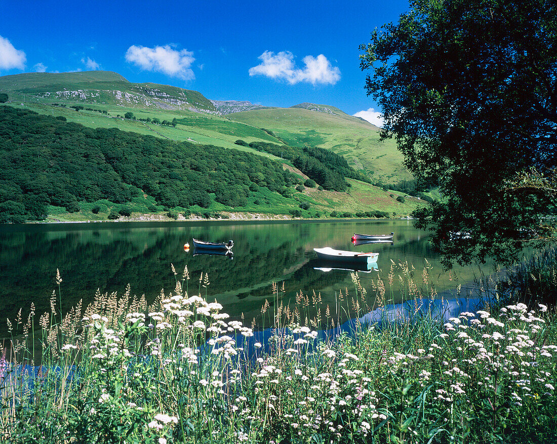 Tal Y Llyn (lake), Dolgellau, Gwynedd, UK, Wales
