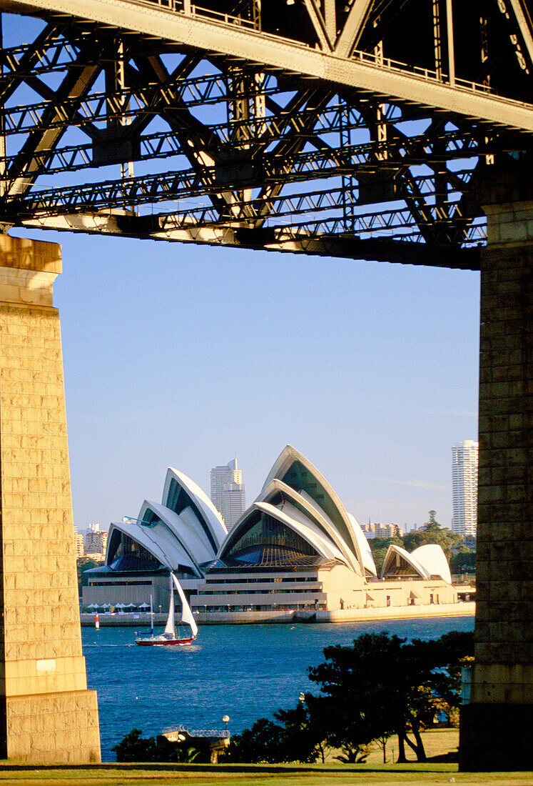 Sydney Opera House and Bridge, Sydney, New South Wales, Australia