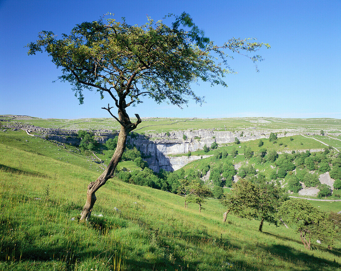 Rural Landscape, Malham Cove, Yorkshire, UK, England