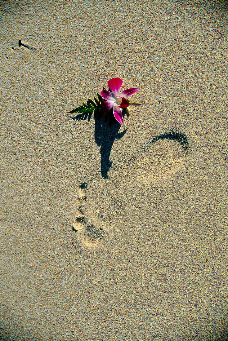 Footprint on Sand, General, Society Islands