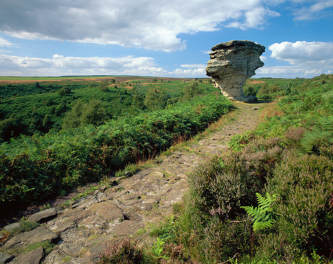 The Bridestones (summer), North Yorkshire Moors, Yorkshire, UK, England
