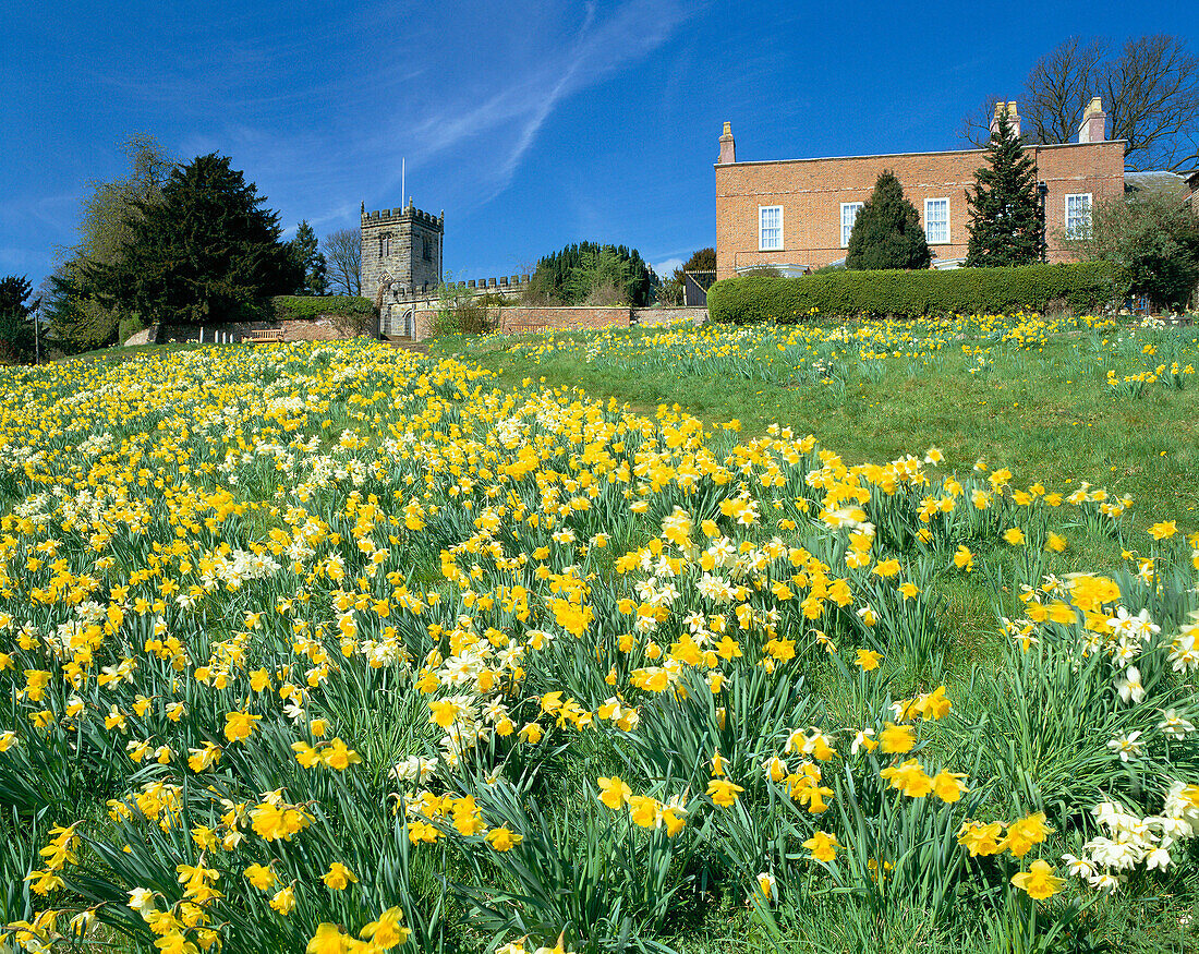 Village Green in Spring, Crayke, Yorkshire, UK, England