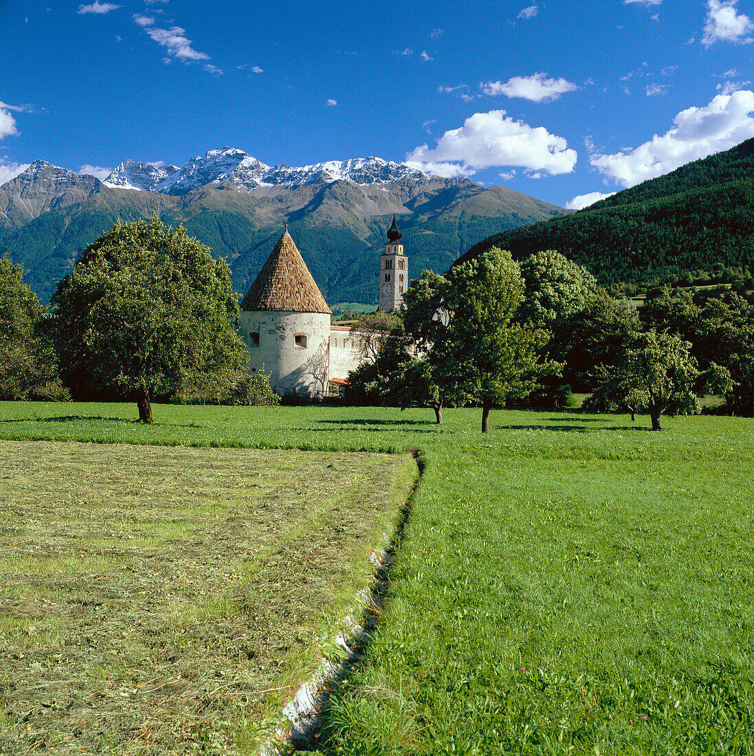 Farm Scene (hay-gathering Without Tractor), Val Venosta, Glorenza, Trentino-Alto Adige, Italy