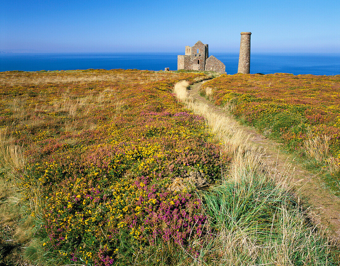 Wheal Coates Tin Mine, St. Agnes, Cornwall, UK, England