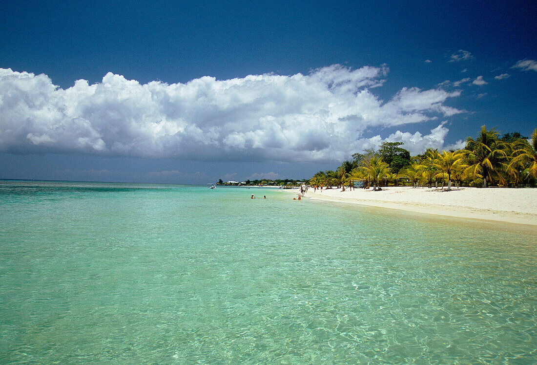 Beach Scene, Roatan Bay, Honduras