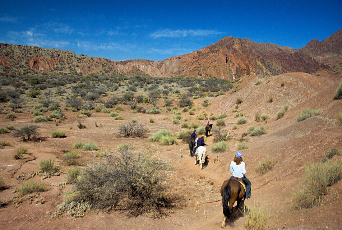 Horseback Riding, Tupiza (Red Rocks), Bolivia