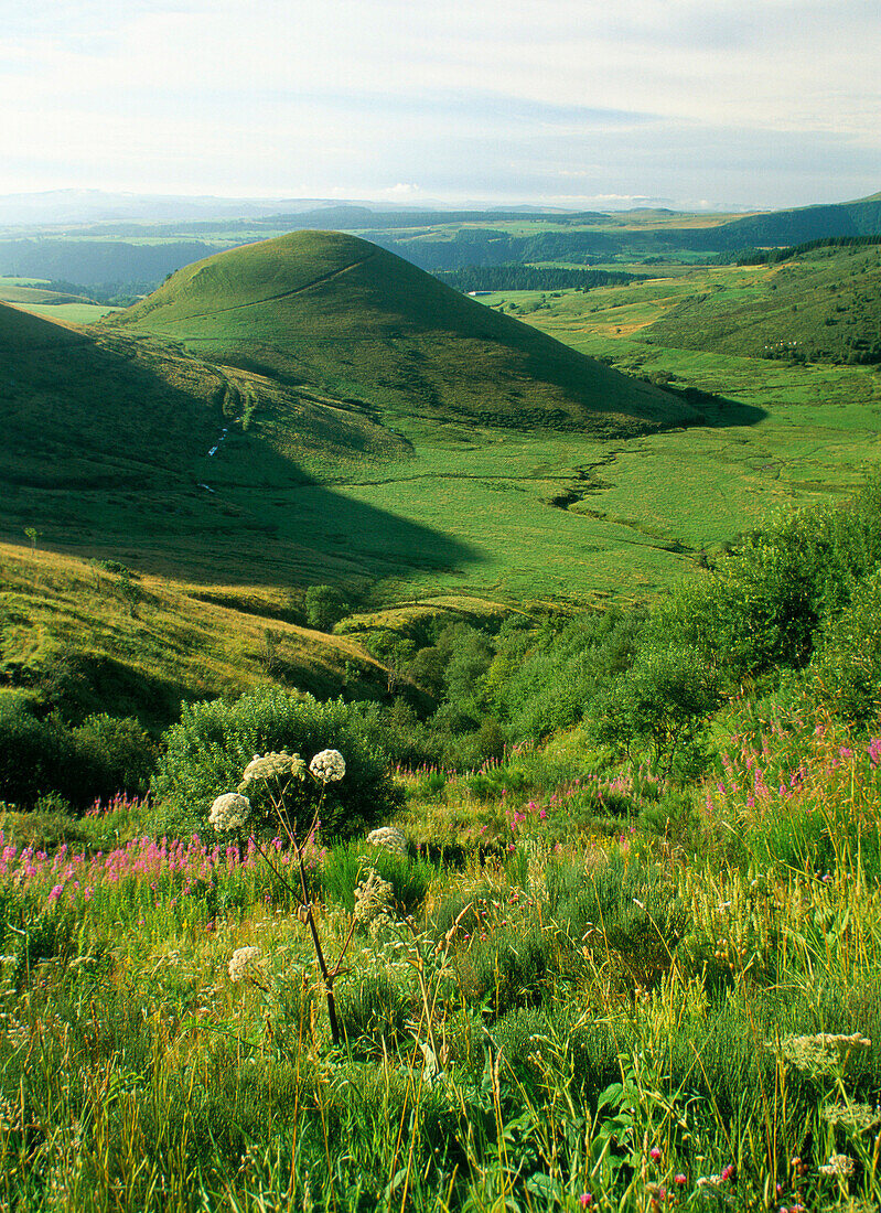 Landscape, Monts Dore, Auvergne, France