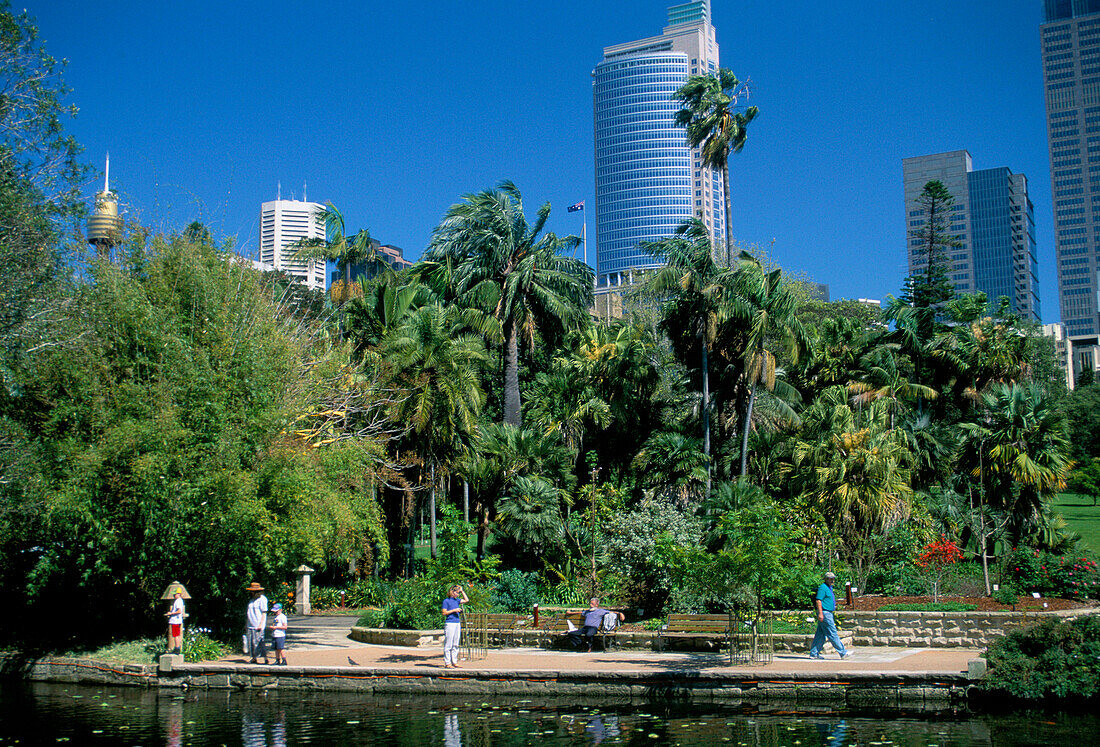 The Domain, Sydney, New South Wales, Australia