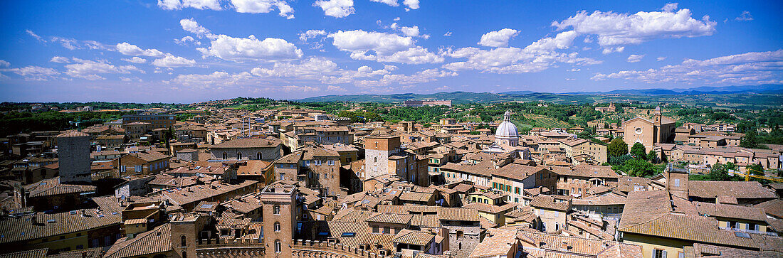 View over Rooftops of Siena, Siena, Tuscany, Italy