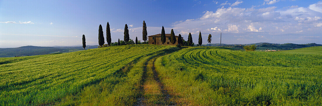 Farmhouse and Cypress Trees, Pienza, Tuscany, Italy