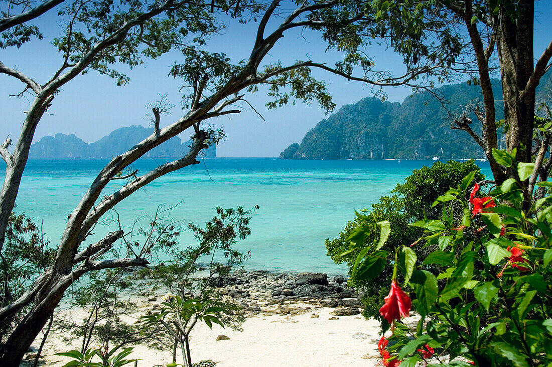 Beach scene, Phi Phi Don Island, Ko Phi Phi Island, Thailand