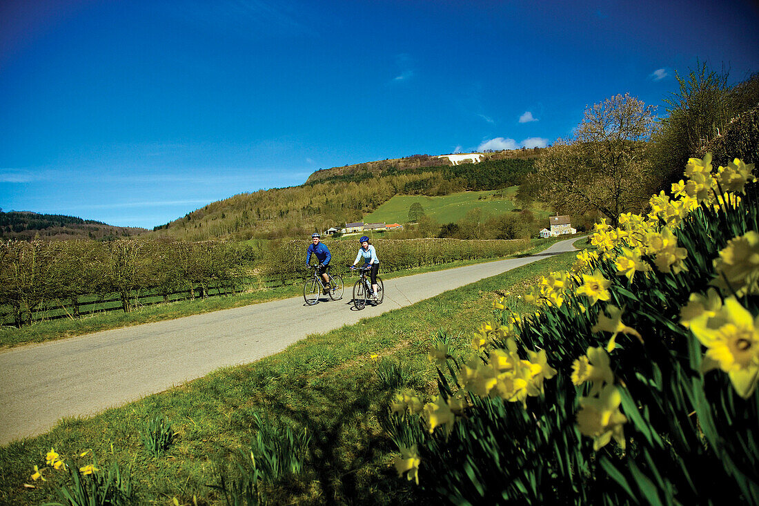 The White Horse and cyclists in spring, Kilburn, near, Yorkshire, UK, England