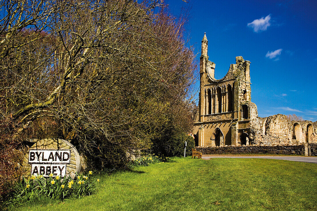 Byland Abbey in spring, Wass Ryedale, near, Yorkshire, UK, England