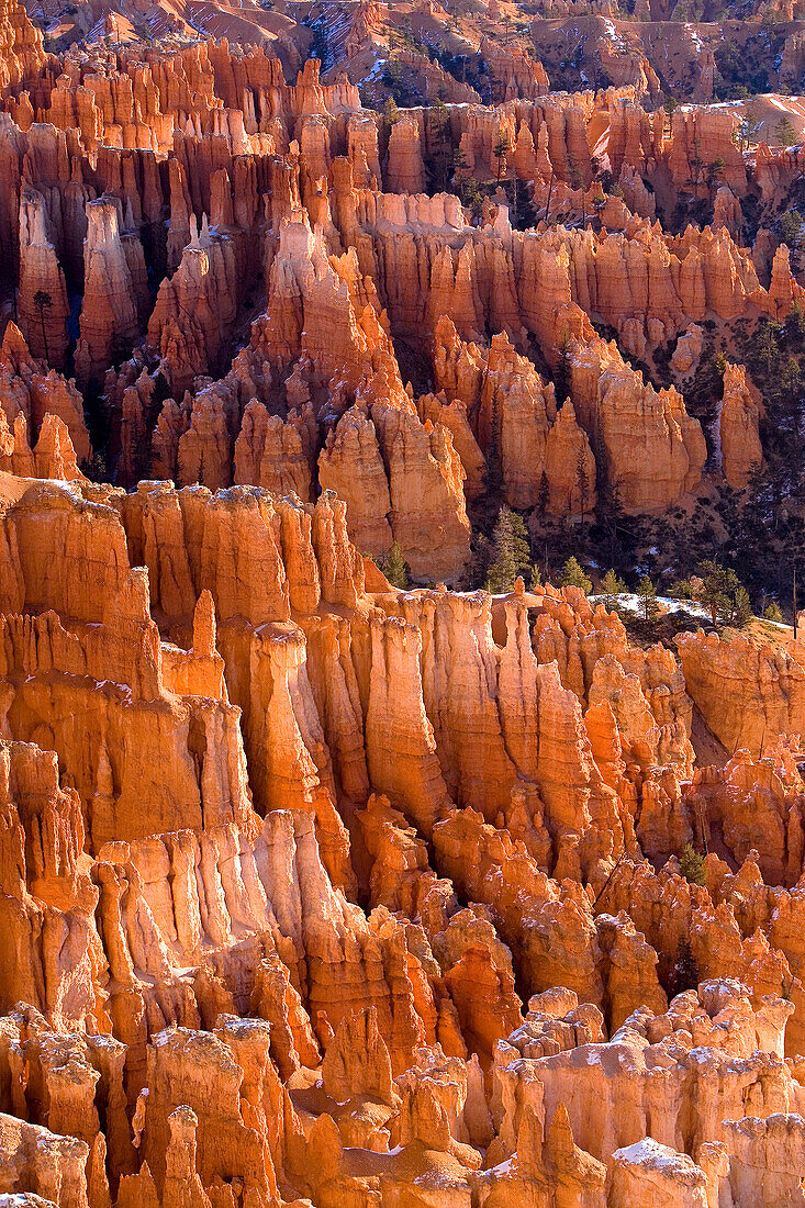 View in Winter, Bryce Canyon, Utah, USA