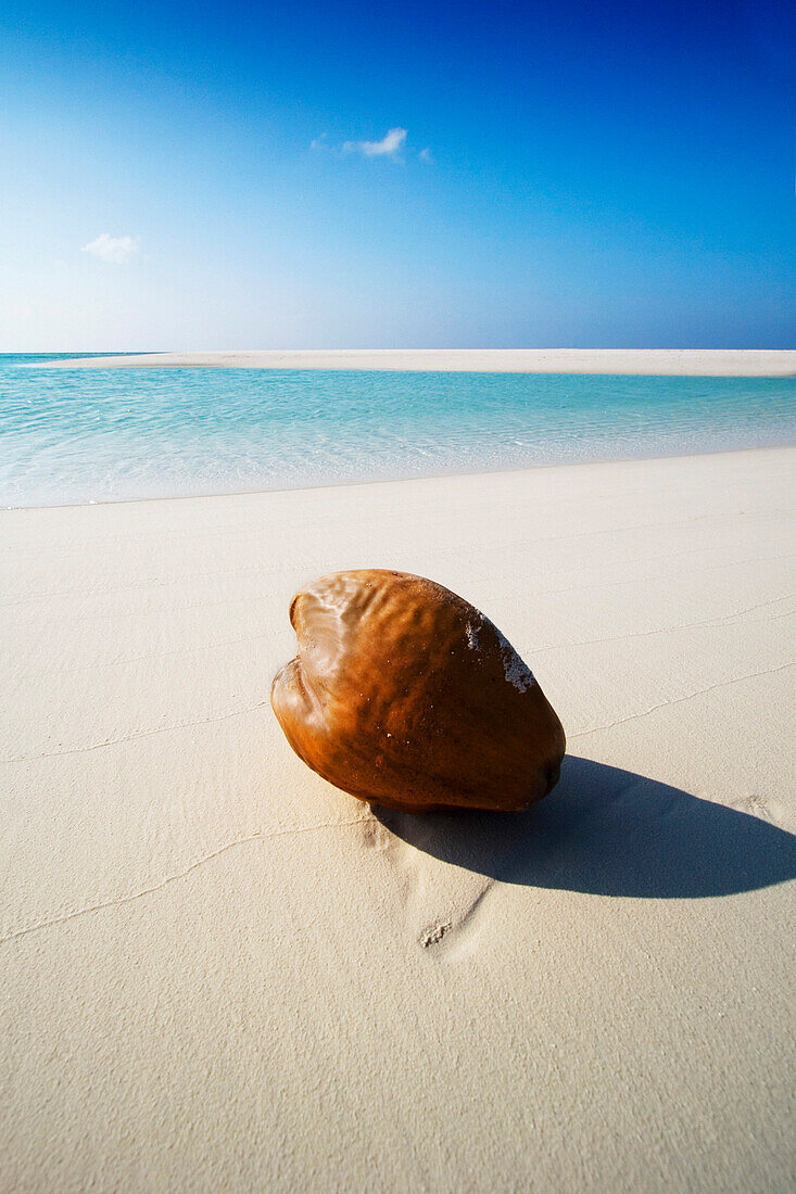 Coconut on beach, General, The Maldives