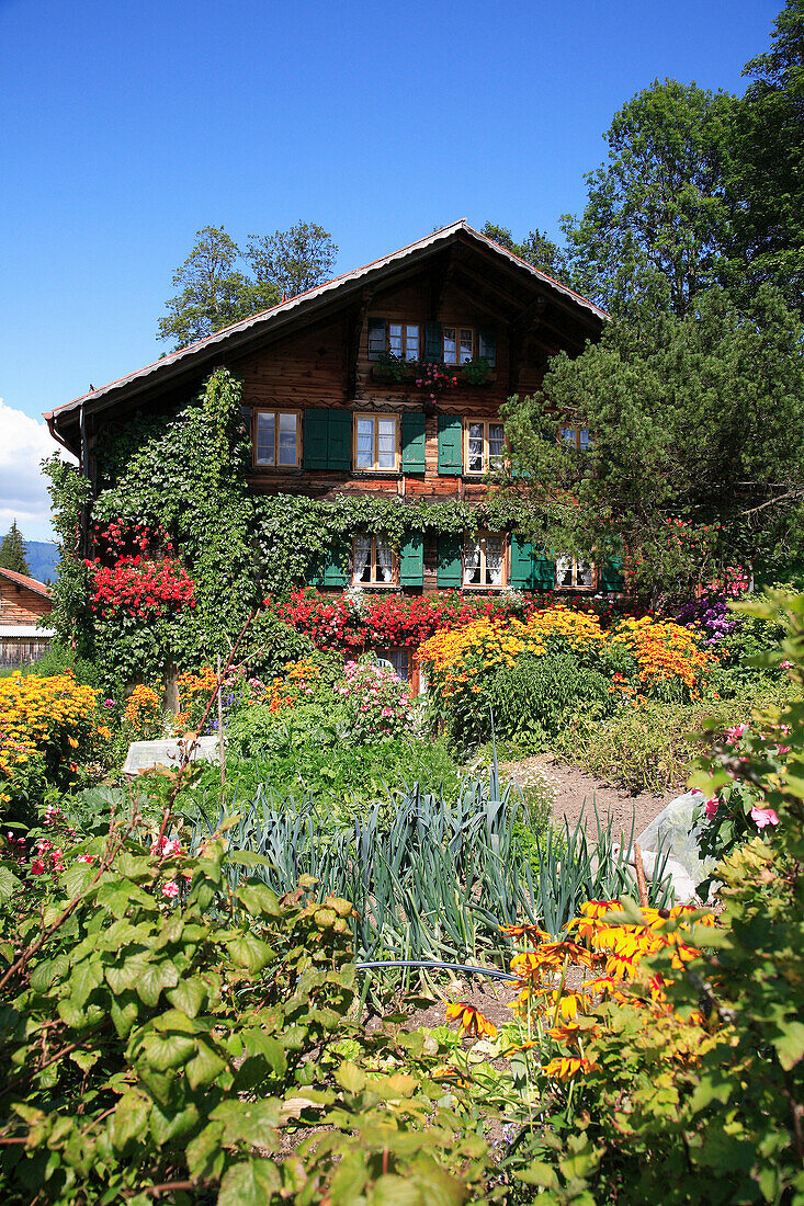 Swiss chalet and garden, Aigle, Vaud Canton, Switzerland