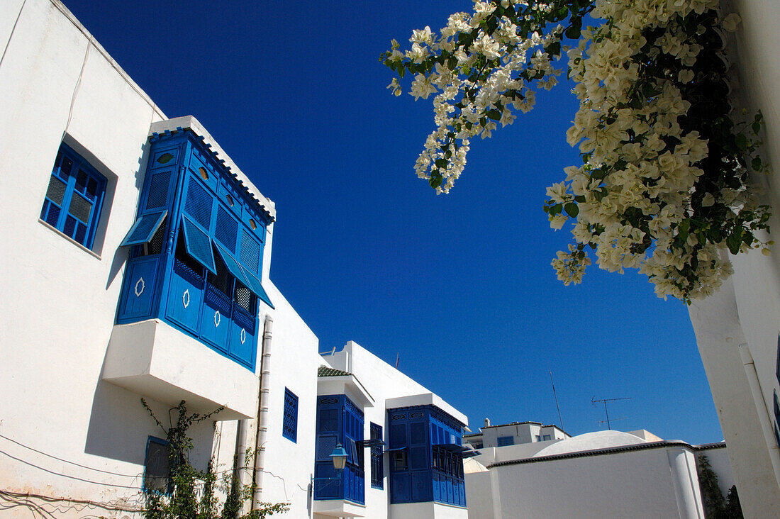 Typical colourful buildings, Sidi Bou Said, Tunis, Tunisia