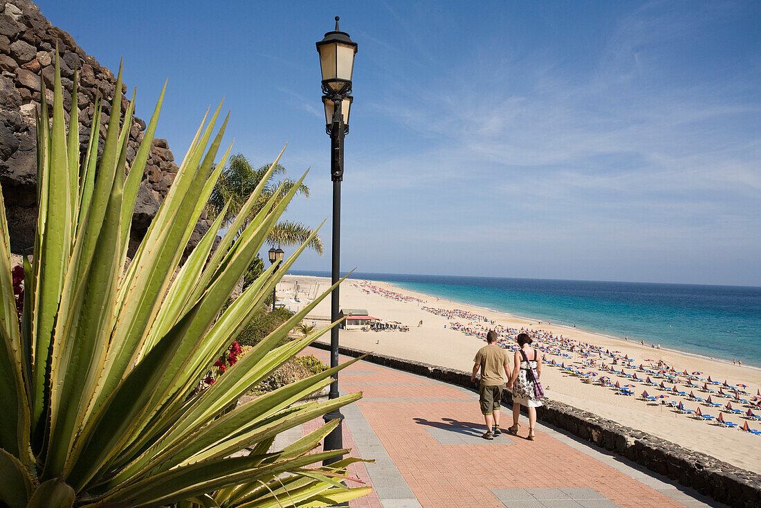 Seaside promenade in the sunlight, Playa del Matorral, Playa de Jandia, Morro Jable, Jandia peninsula, Fuerteventura, Canary Islands, Spain, Europe