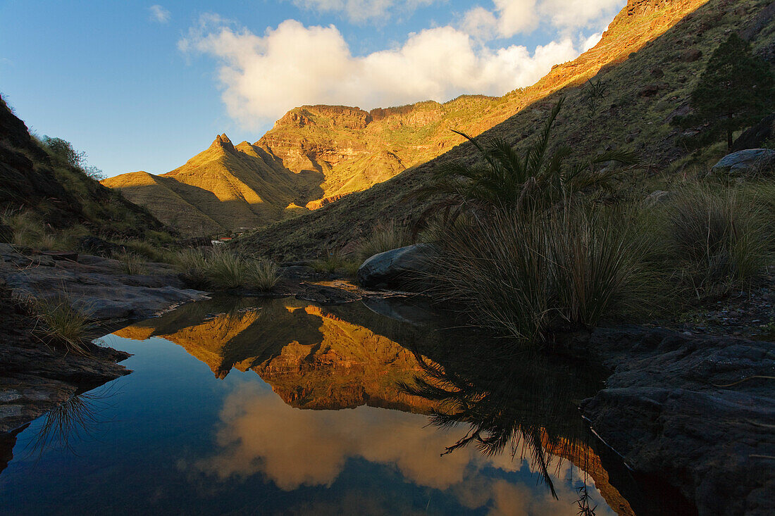 Der Berg Faneque spiegelt sich auf einem Bach, Barranco del Charco Azul, Tal von El Risco, Naturpark Tamadaba, Gran Canaria, Kanarische Inseln, Spanien, Europa