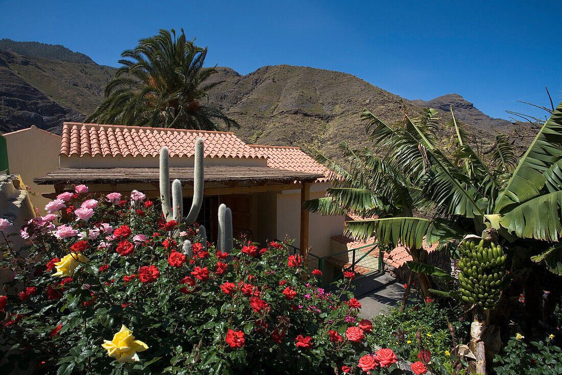 Holiday home Las Rosas amidst palm trees and flowers, Valley of El Risco, Parque Natural de Tamadaba, Gran Canaria, Canary Islands, Spain, Europe