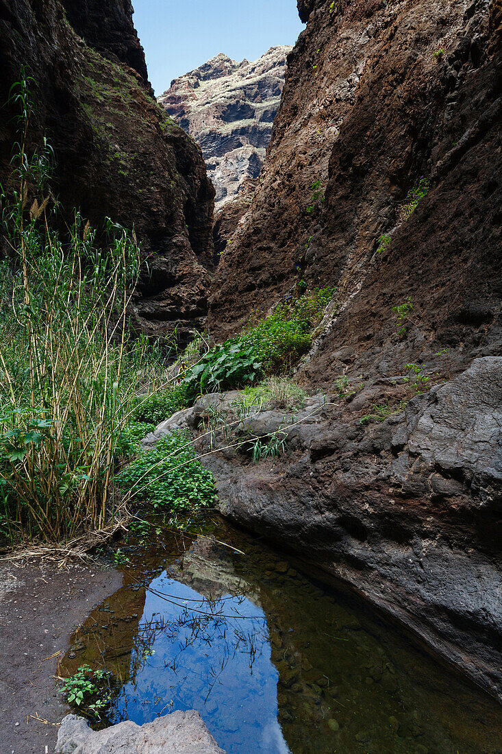 Brook between rocks at Masca canyon, Barranco de Masca, Parque rural de Teno, Tenerife, Canary Islands, Spain, Europe