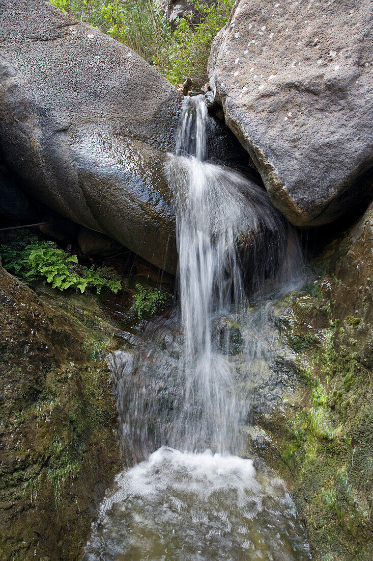 Waterfall at Masca gorge, Barranco de Masca, Parque Rural de Teno, Tenerife, Canary Islands, Spain, Europe