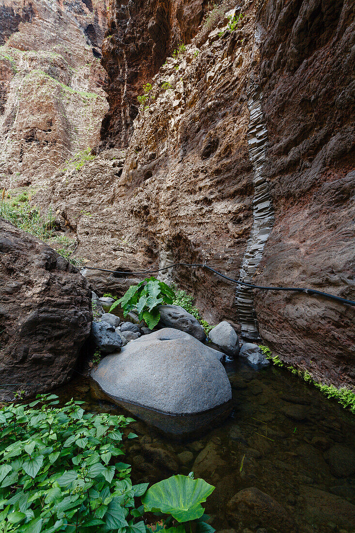 Aboriginal site at a brook, Masca canyon, Barranco de Masca, Parque rural de Teno, Tenerife, Canary Islands, Spain, Europe