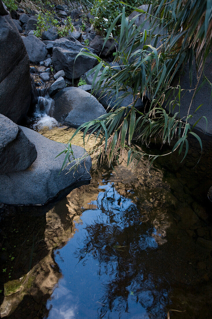 Wasserspiegelung in einem Bach, Masca Schlucht, Barranco de Masca, Parque Rural de Teno, Teneriffa, Kanarische Inseln, Spanien, Europa