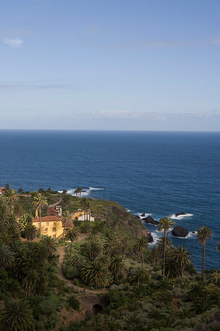 Hacienda de Castro, Landhaus inmitten Palmen an der Küste, Teneriffa, Kanarische Inseln, Spanien, Europa