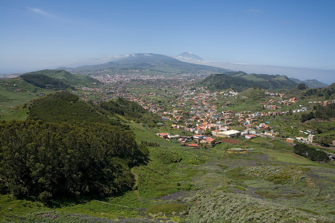 View at mountain village Las Mercedes, La Laguna and Mount Teide in the background, Tenerife, Canary Islands, Spain, Europe