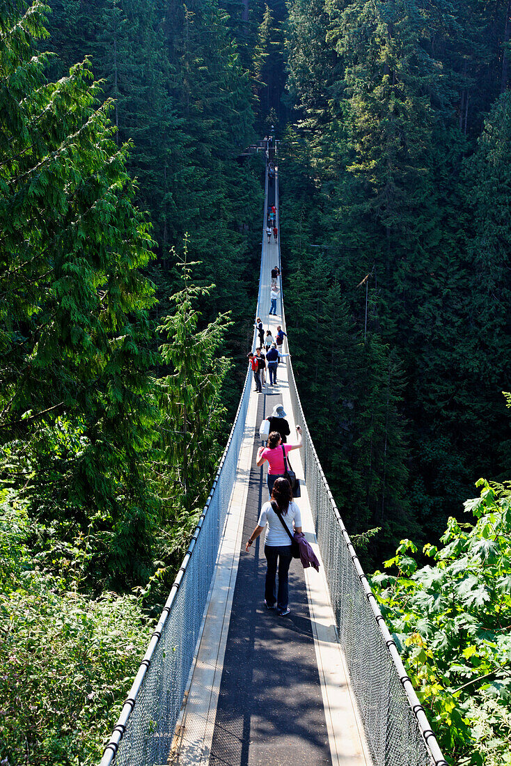 Lynn Canyon Suspension Bridge Park, Vancouver, Kanada, Britisch Kolumbien, Nordamerika