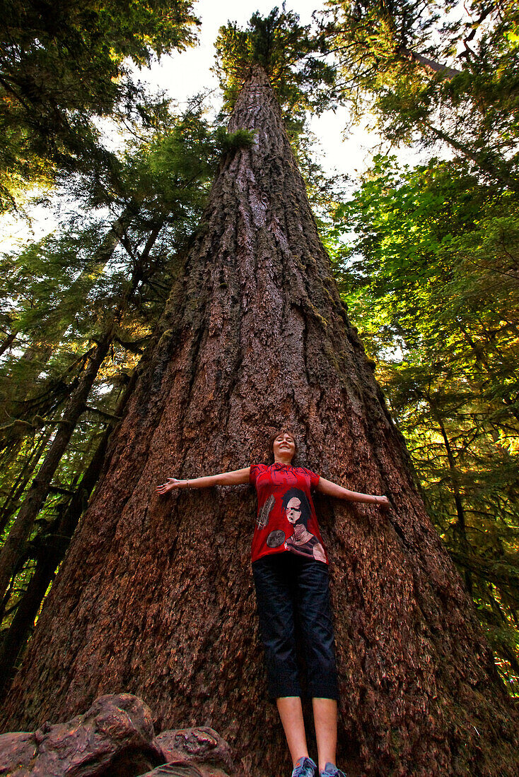 800 Jahre alter Mammutbaum im Catherdral Grove Regenwald, Vancouver Island, Kanada, Britisch Kolumbien, Nordamerika