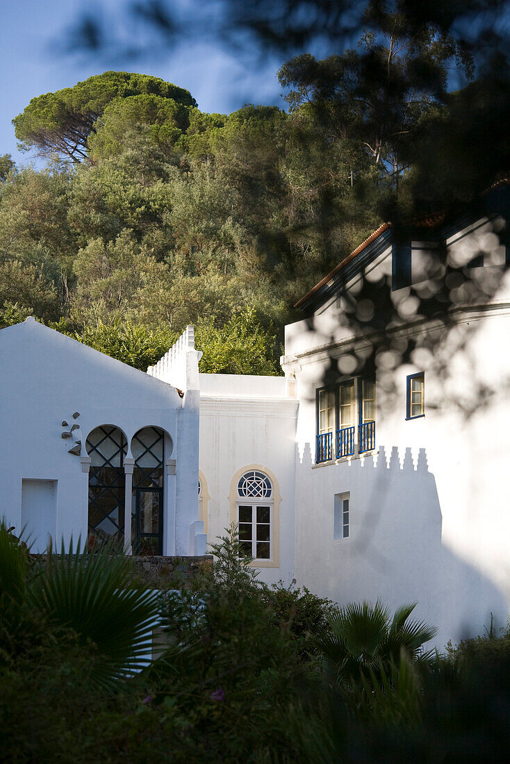 House with pine trees, Caldas de Monchique, hot springs and wellness resort, Monchique, Algarve, Portugal