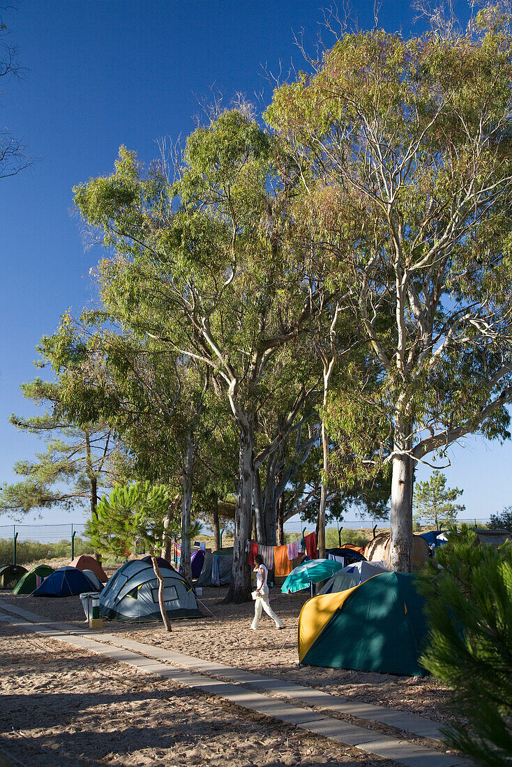 Campsite on the island Ilhe de Tavira, tents, Tavira, Algarve, Portugal