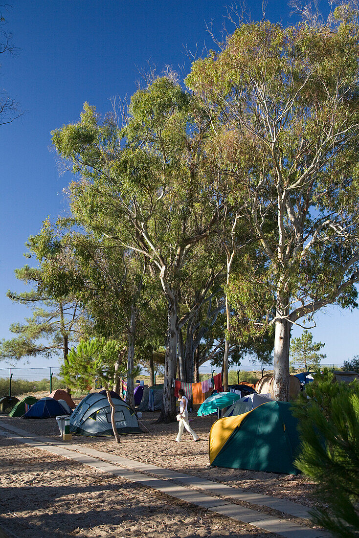 Zeltplatz auf der Insel Ilha de Tavira, Zelte, Camping, Tavira, Algarve, Portugal