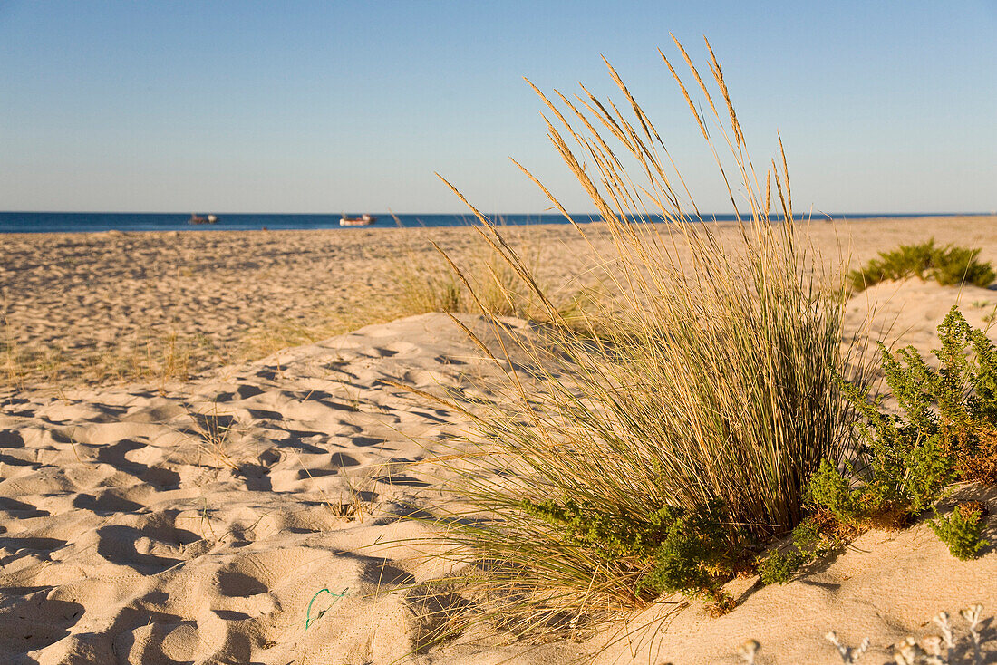 Beach on the Ilhe de Tavira, Tavira, Algarve, Portugal