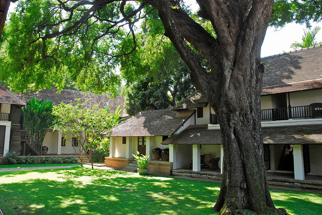 Garten von Hotel Tamarind Village, Chiang Mai, Thailand, Asien