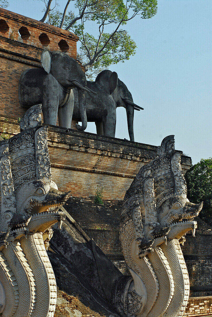 Stairs with nagas, snakes, leading up to the chedi, Wat Chedi Luang, Chiang Mai, Thailand, Asia