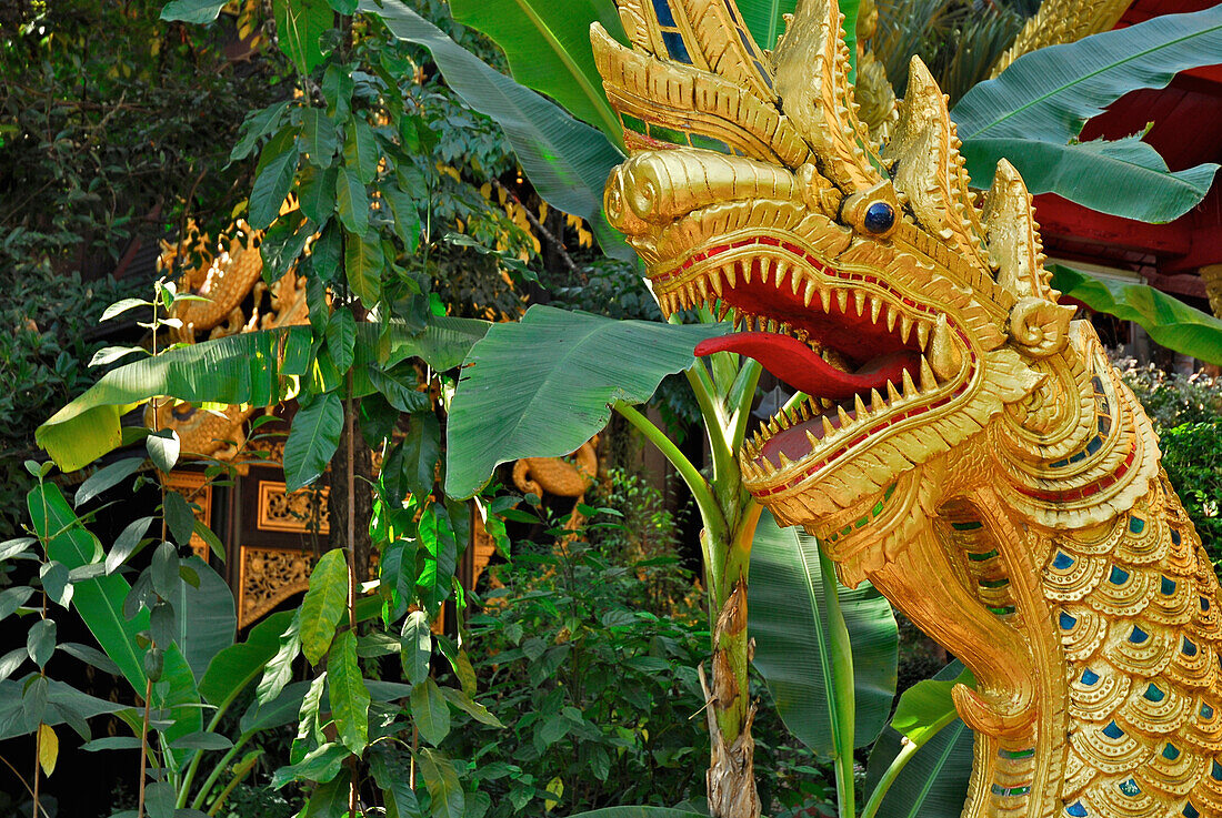 Golden dragon, Wat Phra Kaeo, Chiang Rai, Golden Triangle, Naga, Thailand, Asia