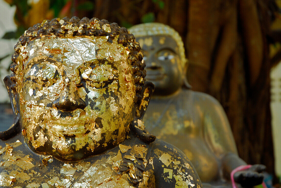 Chiang Rai, Wat Phra Kaeo, Buddhas with gold foil in the garden, Golden Triangle, Thailand, Asia