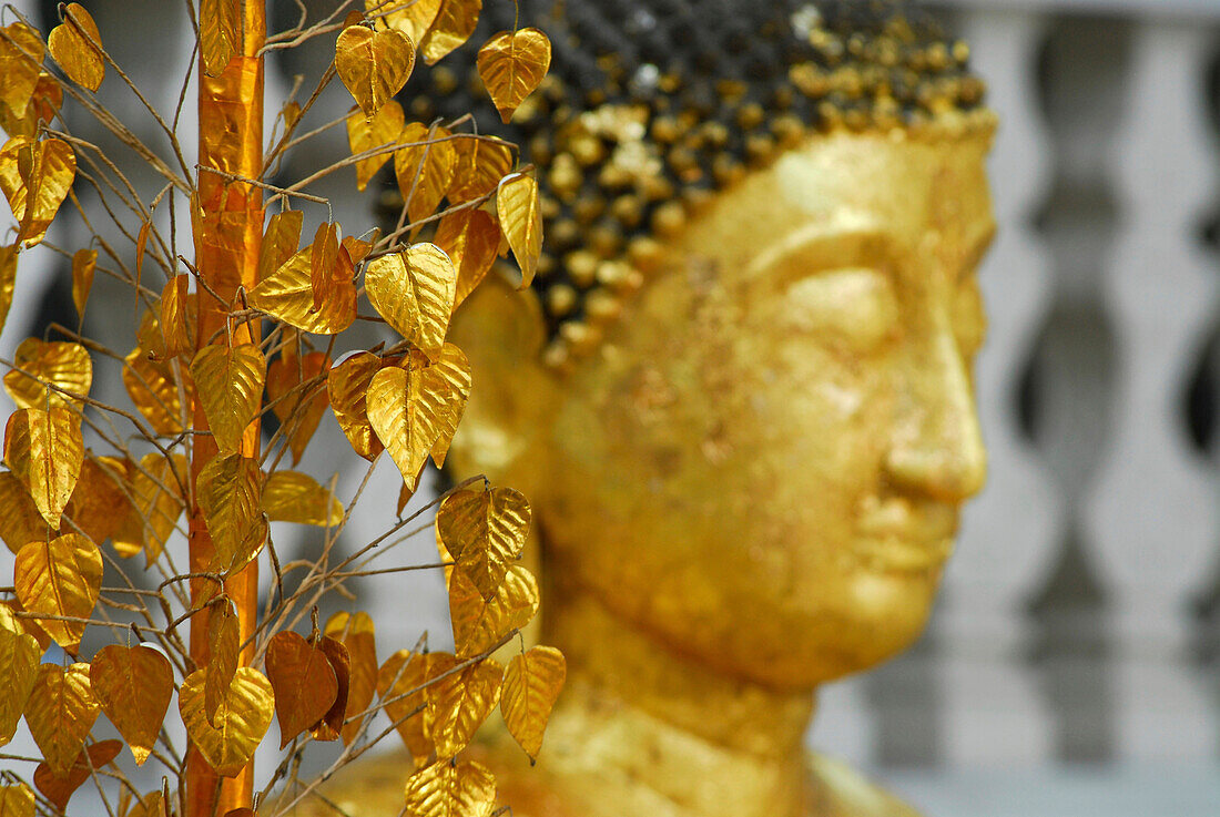 Buddha and golden leaves at Wat Saket at the bottom of the Golden Mount in Bangkok, Thailand, Asia
