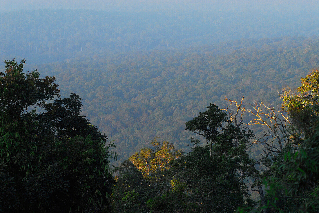 Jungle and mountain view of Khao Yai National Park, Province Khorat, Thailand, Asia