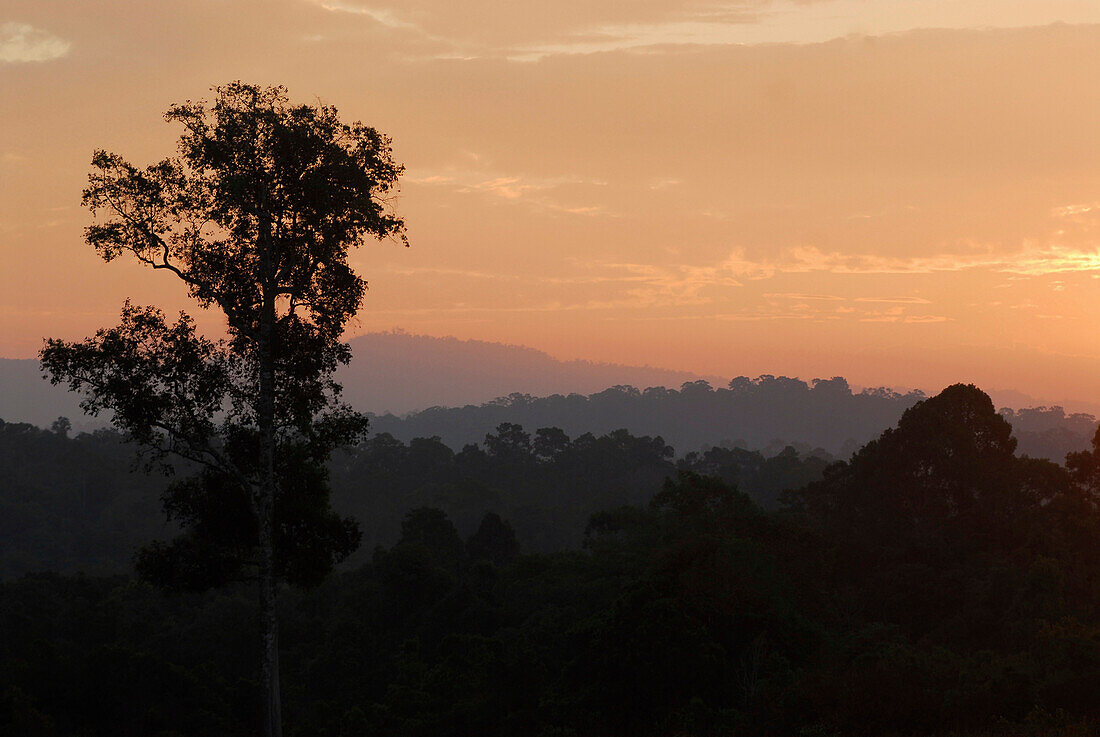 Sonnenaufgang über der Landschaft des Khao Yai Nationalpark, Provinz Khorat, Thailand, Asien