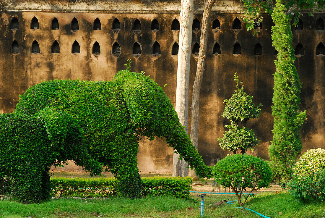 Elefanten in Büsche modelliert, Park mit Mauer im Narai Palast, Lopburi, Thailand, Asien