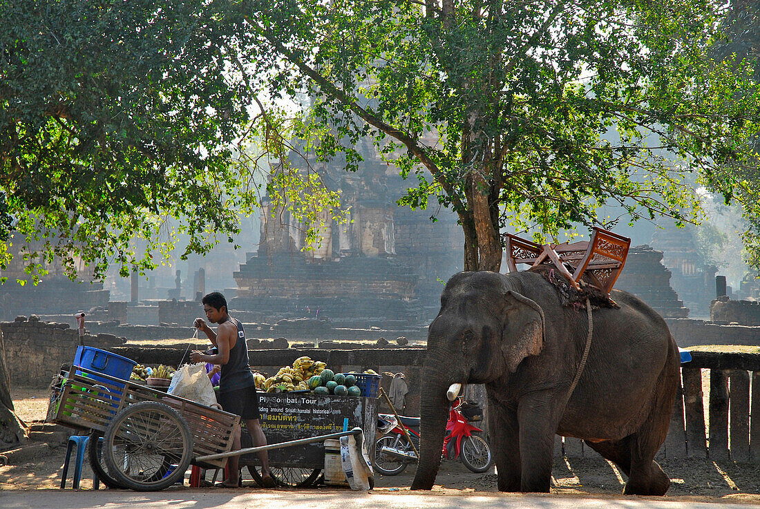 Elephant in front of Wat Chedi Chet Thaeo, Si Satchanalai Chalieng Historical Park, Province Sukothai, Thailand, Asia